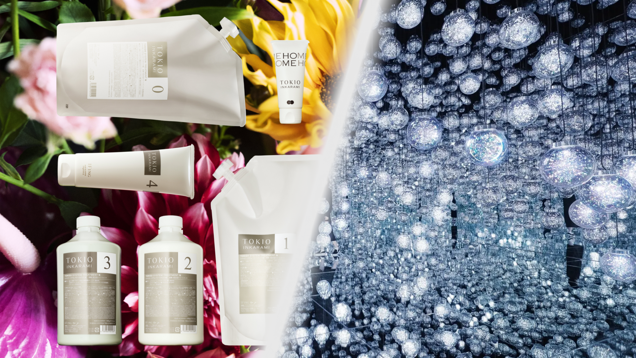 アート/ファッション協賛のあゆみ（アート/ファッション協賛のあゆみ）